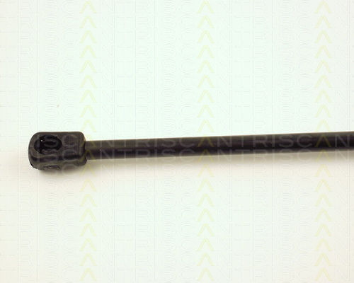 Triscan 8710 16222 Trunk Shock Absorber