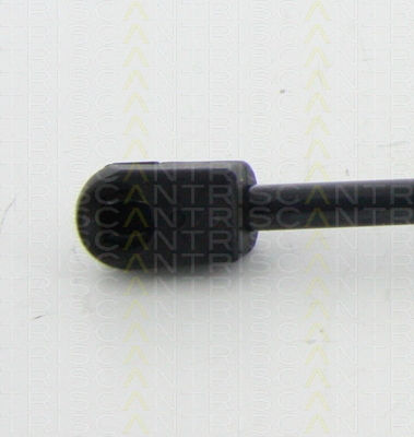 Triscan 8710 67206 Kofferraum-Schock