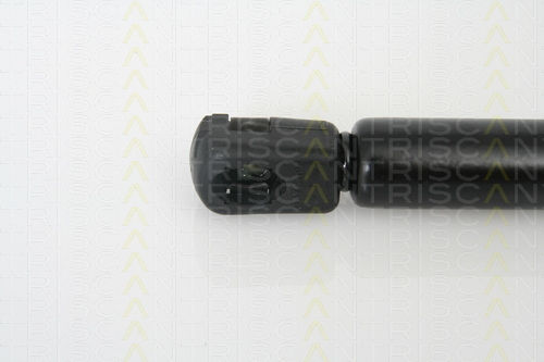 Triscan Amortizor Portbagaj 8710 11224