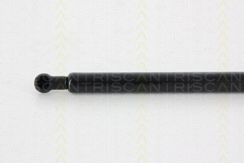 Triscan 8710 14246 Амортисьор За Багажник