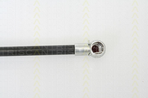 Triscan 8710 24227 Trunk Shock Absorber