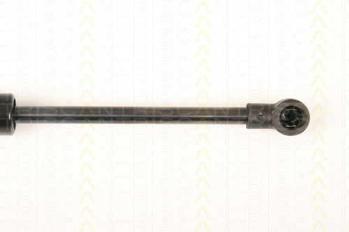 Triscan 8710 28241 Trunk Shock Absorber