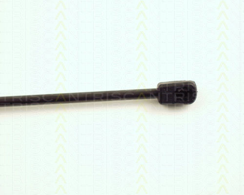 Triscan 8710 15225 Amortizor Portbagaj