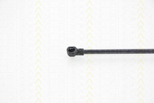 Triscan 8710 29242 Trunk Shock Absorber