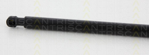 Triscan Kofferraum-Schock 8710 17105