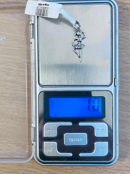 Alista Home Charm cu Pietre cu Pietre din Argint