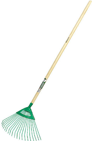 Big Lawn Rake