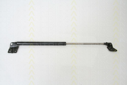 Triscan 8710 69216 Kofferraum-Schock
