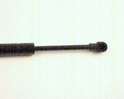 Triscan 8710 27212 Trunk Shock Absorber