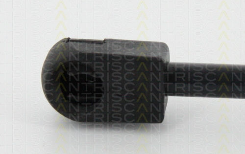 Triscan 8710 18237 Trunk Shock Absorber