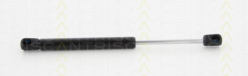 Triscan Hood Shock Absorber 8710 80102