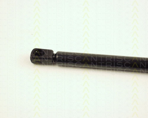 Triscan Kofferraum-Schock 8710 29118