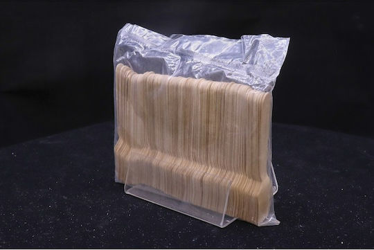 Tessera Biodegradable Spoon Disposable Wooden 100pcs