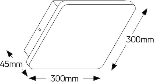 Geyer Modern Lamp Wall with Integrated LED and Warm White Light 30x30cm