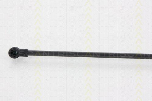 Triscan 8710 66207 Trunk Shock Absorber
