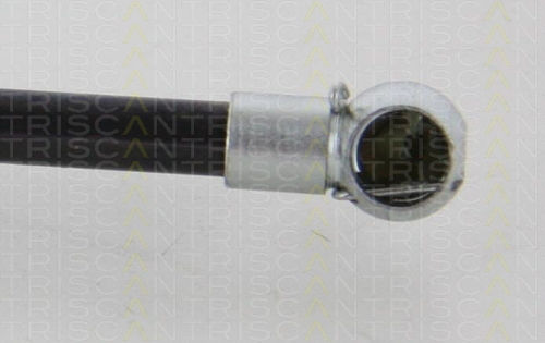 Triscan Trunk Shock Absorber 8710 10217