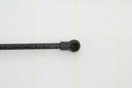 Triscan 8710 29265 Trunk Shock Absorber