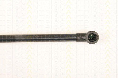 Triscan 8710 28238 Trunk Shock Absorber