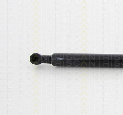 Triscan 8710 17219 Trunk Shock Absorber