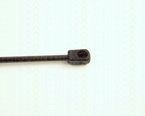Triscan Trunk Shock Absorber 8710 16233