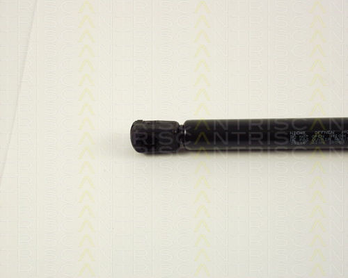 Triscan 8710 38216 Trunk Shock Absorber