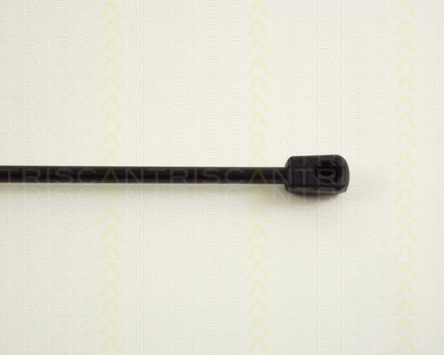 Triscan 8710 38216 Trunk Shock Absorber