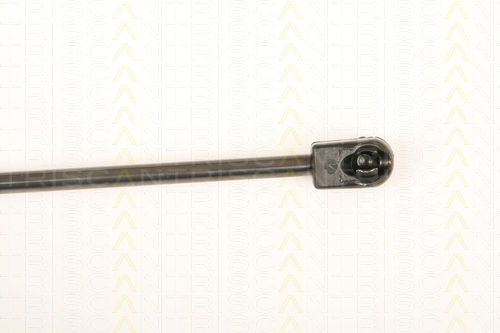 Triscan 8710 80206 Trunk Shock Absorber