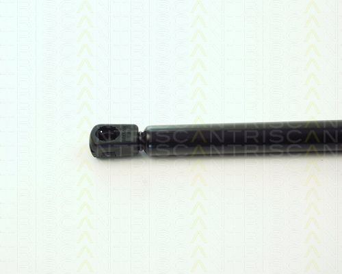 Triscan Trunk Shock Absorber 8710 11201