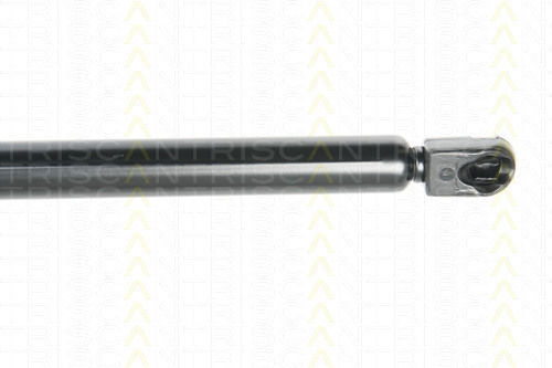 Triscan 8710 29283 Trunk Shock Absorber