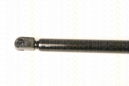 Triscan 8710 67213 Амортисьор За Багажник