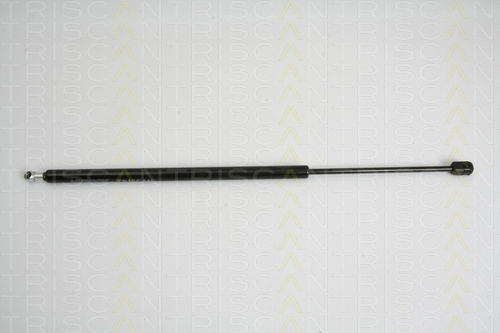 Triscan 8710 38224 Amortizor Portbagaj