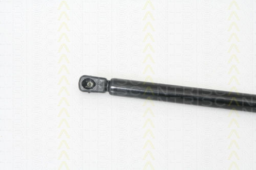 Triscan 8710 29259 Kofferraum-Schock-Absorber
