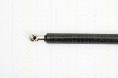 Triscan 8710 25229 Trunk Shock Absorber