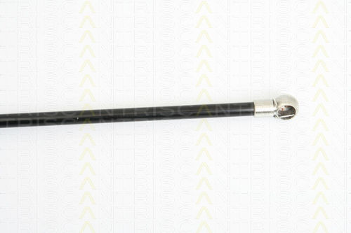 Triscan 8710 25229 Trunk Shock Absorber