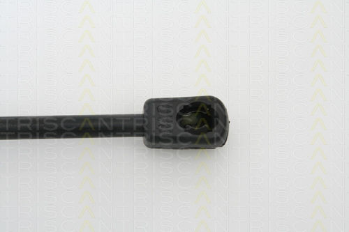 Triscan Амортисьор За Багажник 8710 13270