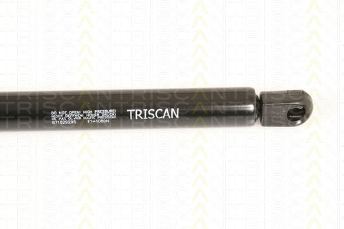 Triscan 8710 29295 Trunk Shock Absorber