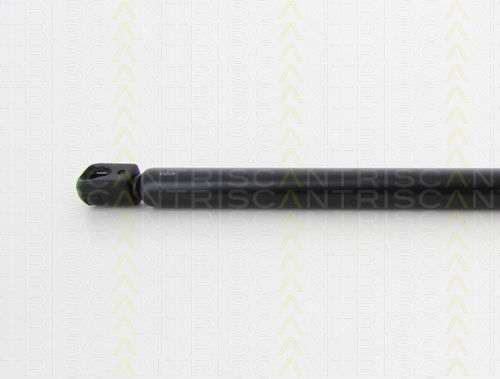 Triscan 8710 24244 Trunk Shock Absorber
