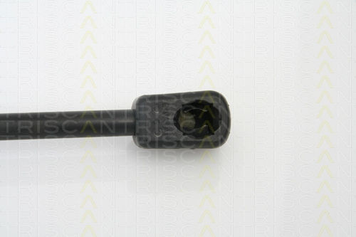 Triscan 8710 16238 Trunk Shock Absorber