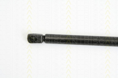 Triscan Trunk Shock Absorber 8710 18211