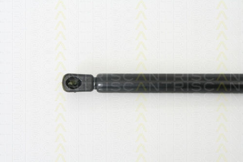 Triscan 8710 67209 Trunk Shock Absorber