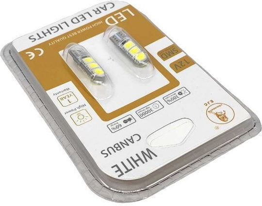 Ejc Λάμπες Αυτοκινήτου Canbus 12v 2τμχ Ψυχρό Φως – Led Light