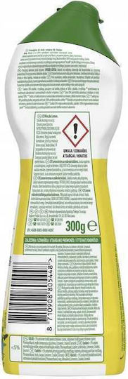 Unilever Allzweckreiniger Creme 300g
