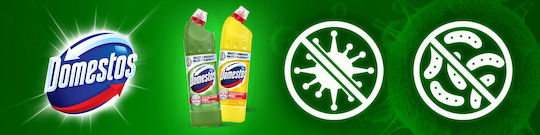 Unilever Toilettenreiniger Gel mit Zitronenduft 750ml