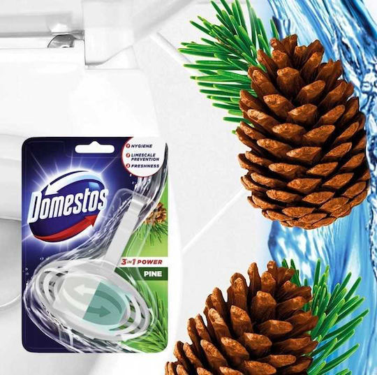 Domestos Power Block Toilette Ersatzteil mit Duft Kiefer 35gr