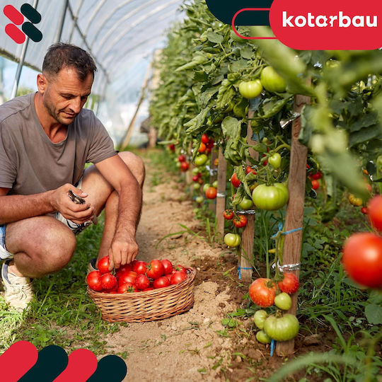 Kotarbau Holzpflanzenspieße Tomaten Gemüse Gartenstützen Bäume Sträucher 25 cm Set 10 Stück