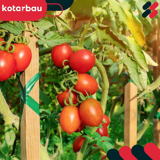 Kotarbau Holzpflanzenspieße Tomaten Gemüse Gartenstützen Bäume Sträucher 60 cm Set 10 Stück