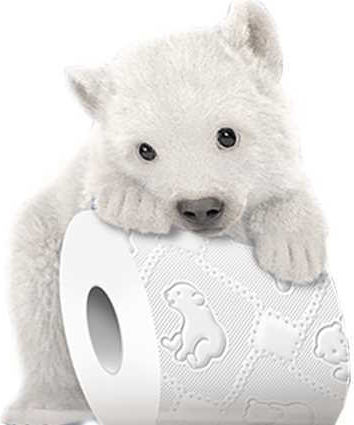 Raw-Pol Toilet Paper 8 Rolls 3 Ply 5906142910694