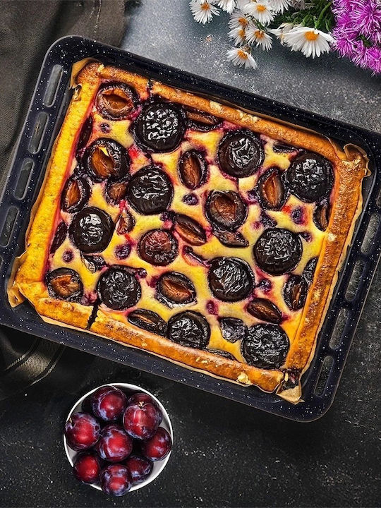 Orion Baking Pan Made of Stainless Steel with Enamel Coating