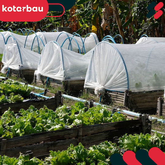 Kotarbau Ύφασμα Εδαφοκάλυψης 50gr/m² 1.6x2m Λευκό