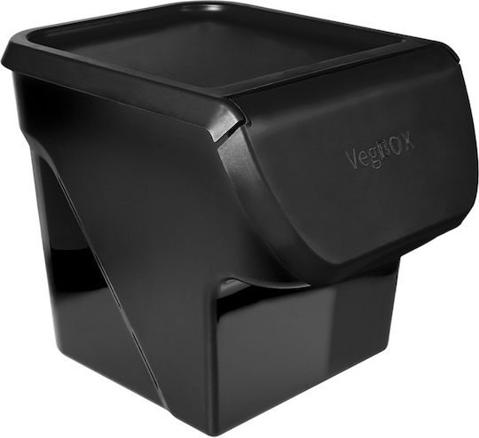 Vilde Set 2 Bucăți Casete Utilizare Generală Cu Capac Plastic Negru 2x26x34cm 2 Bucăți